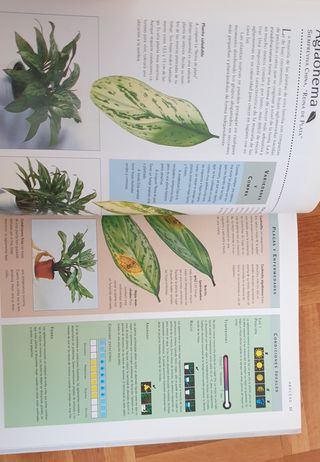 Manual de supervivencia de las plantas .