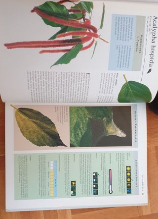 Manual de supervivencia de las plantas .