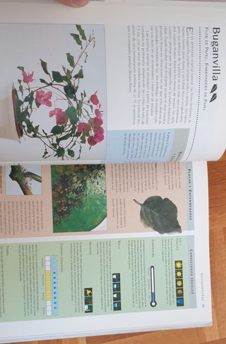 Manual de supervivencia de las plantas .