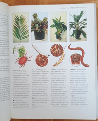 Manual de supervivencia de las plantas .