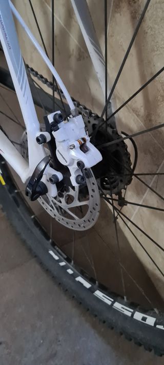 Bicicleta Canondale, rodillo y soporte