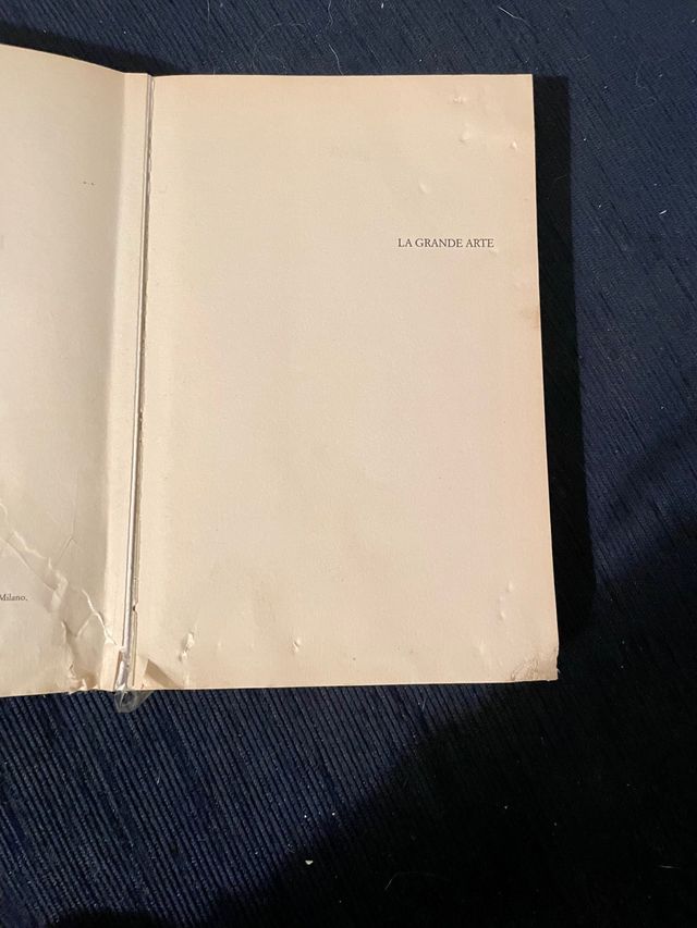 Libro “La grande arte” Rubem Fonseca