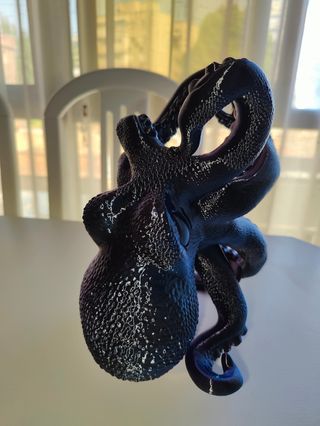 Pulpo botellero