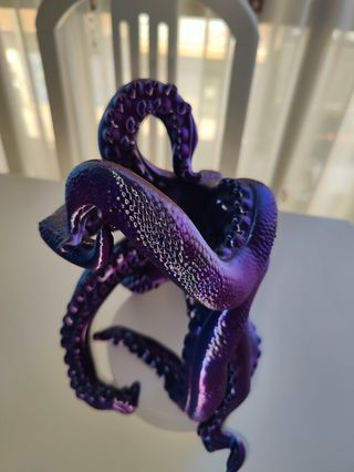 Pulpo botellero
