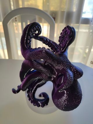 Pulpo botellero