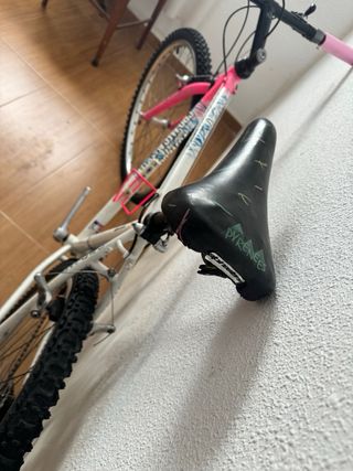 Bicicleta alpinestars cro-mega lx 1990 