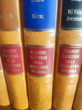 Grandes Maestros de la literatura Española