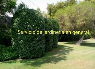 Jardínero económico