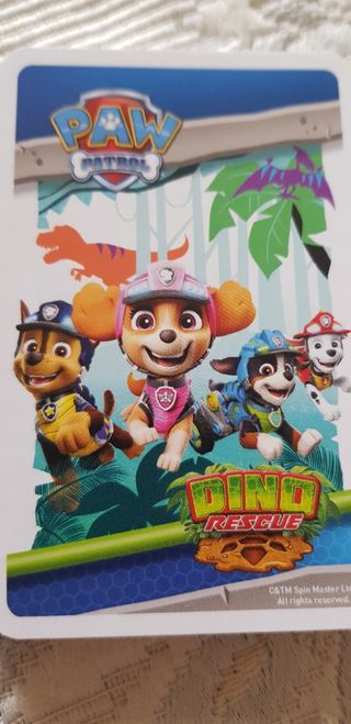 Carte gioco PAW PATROL