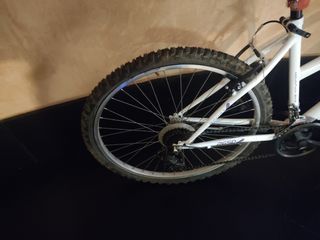 Bicicleta mujer 