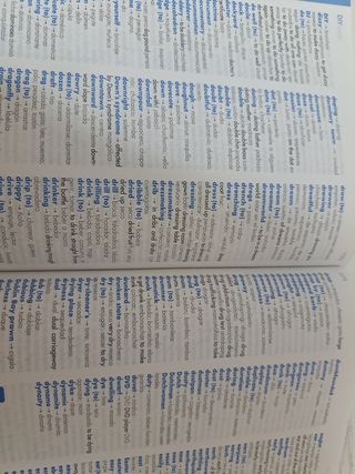 Diccionario Primaria de Lengua española