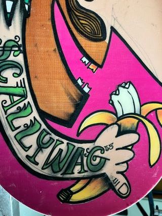 tavola da snowboard + attacchi