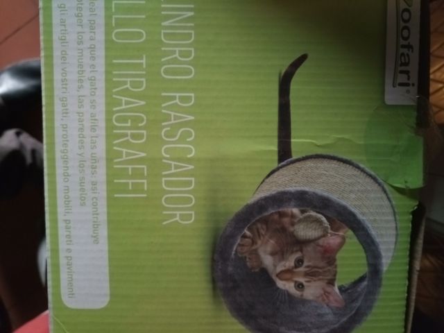 Gato rascador rolon para gatito pequeno.