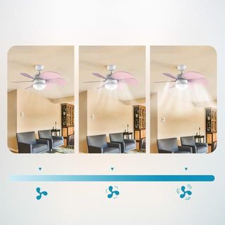 Ventilador de techo