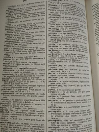 Diccionario Portugues