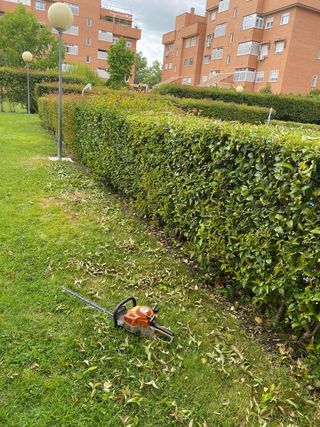 MANTENIMIENTO DE JARDINES y JARDINERIA