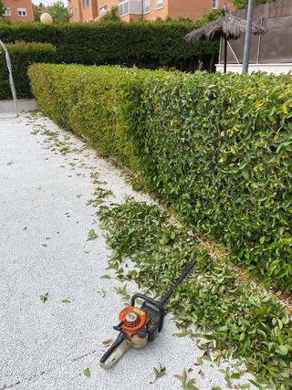 MANTENIMIENTO DE JARDINES y JARDINERIA