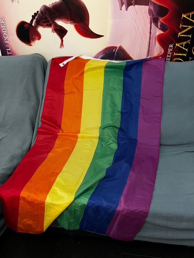 Bandera LGTB grande