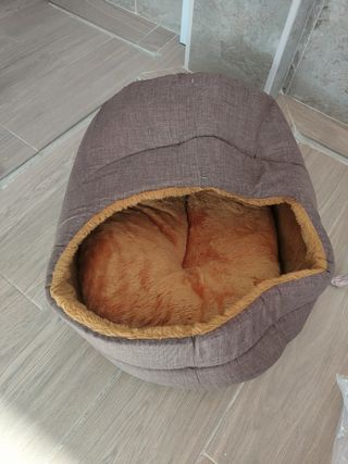 Cama para macotas