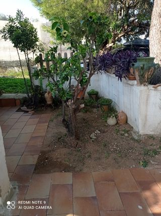 Casa en alquiler