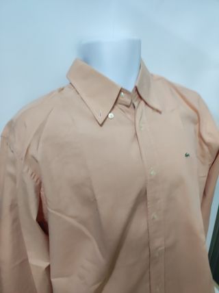 Camisa Lacoste