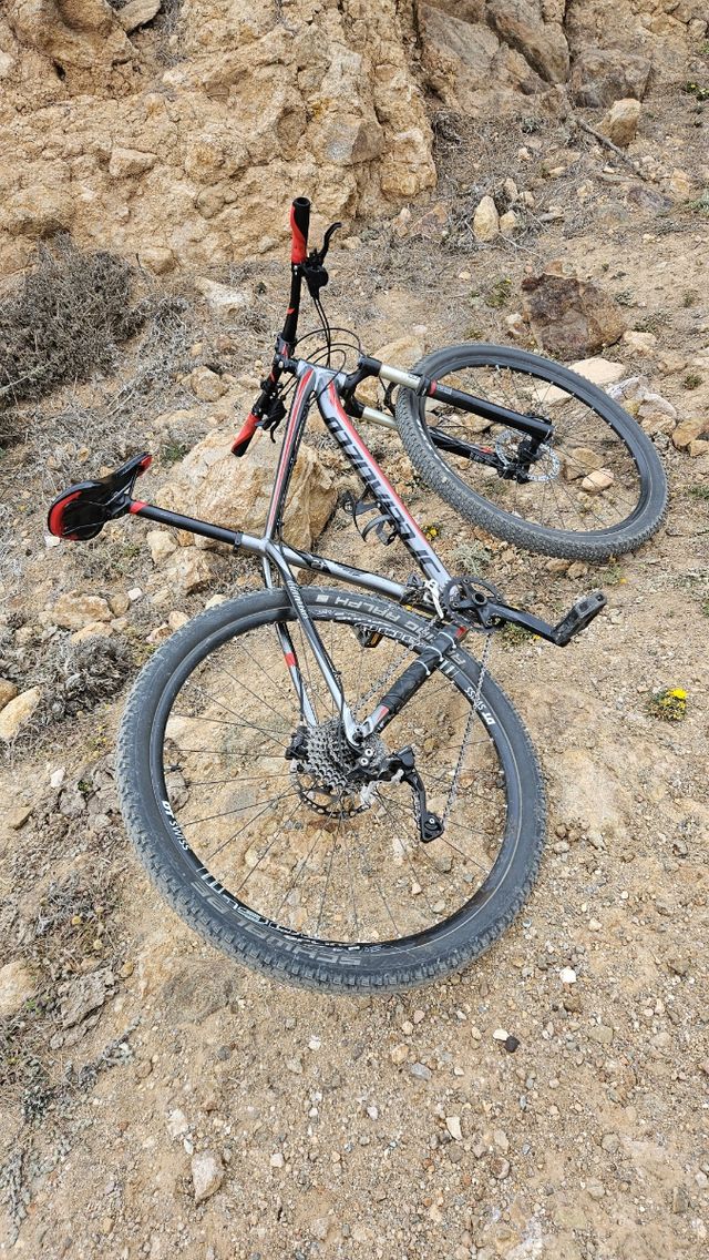 Bicicleta specialized