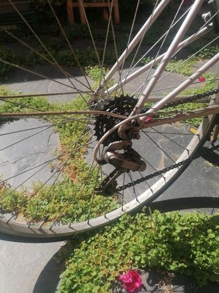 Bicicleta
