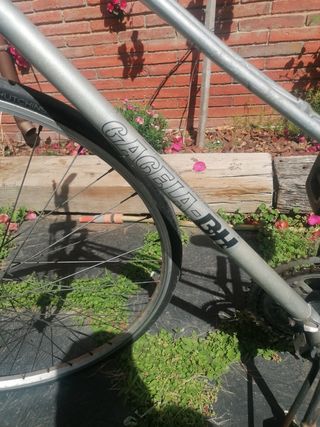 Bicicleta