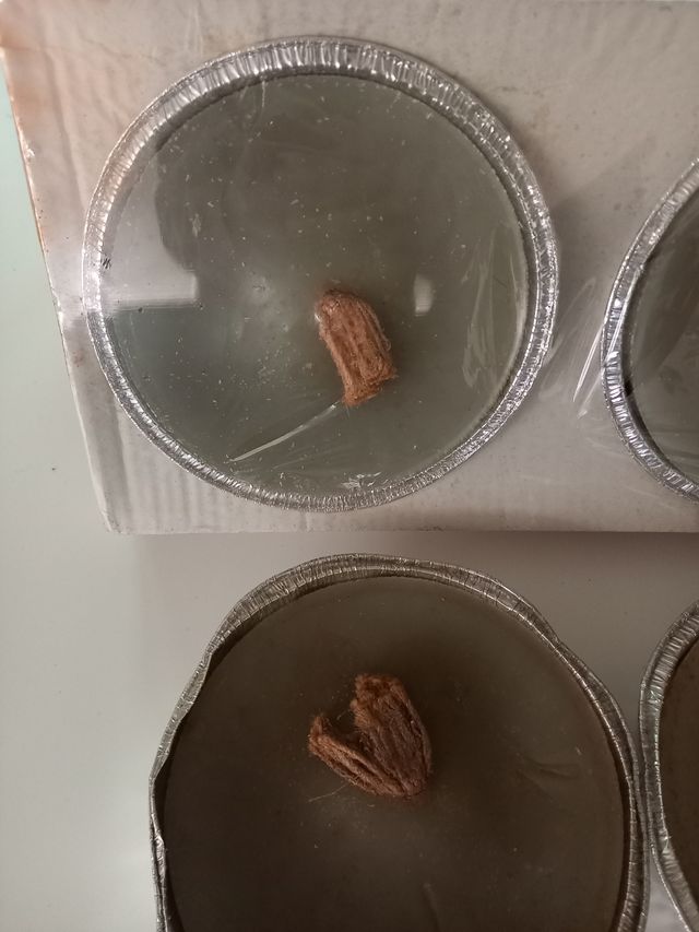 Candele repellenti zanzare insetti