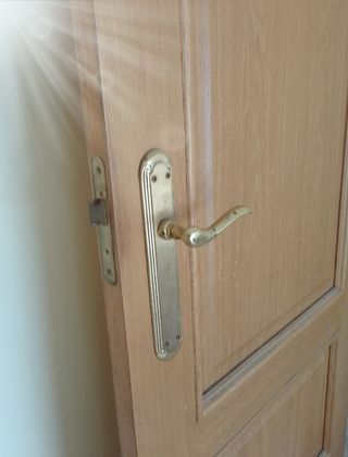 Vendo puerta