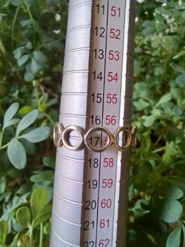 Anillo plata talla 17 (57 mm)