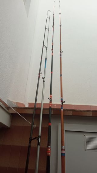 Cañas de pescar 