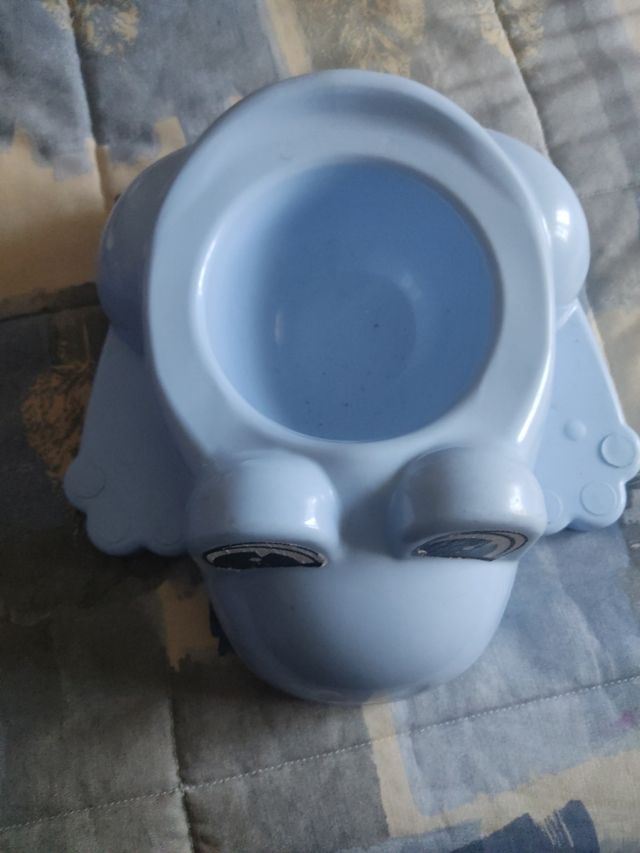 Orinal ranita aprendizaje