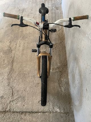 Bici dirt