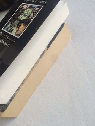 DON QUIJOTE DE LA MANCHA II de Miguel de Cervantes