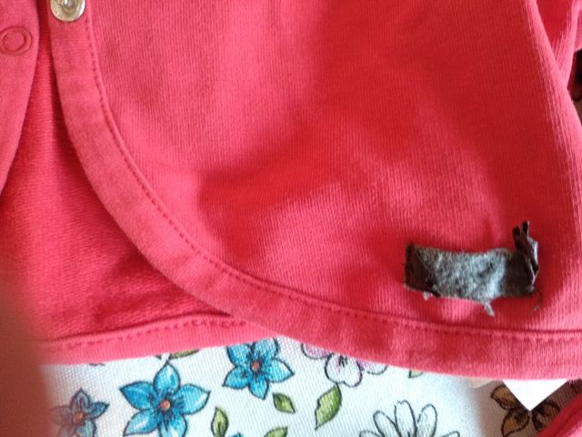 Chaqueta niña corta mayoral