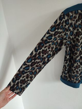 Jersey azul de cebra