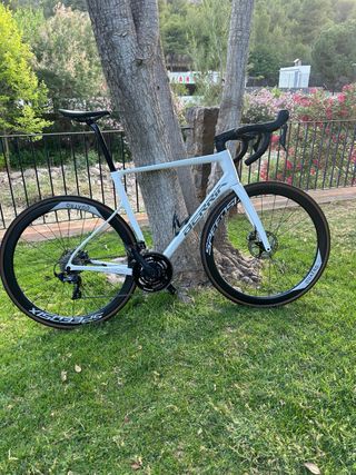 Berria belador 7 2023 T-L