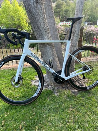 Berria belador 7 2023 T-L