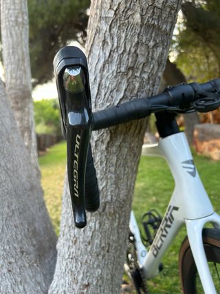 Berria belador 7 2023 T-L