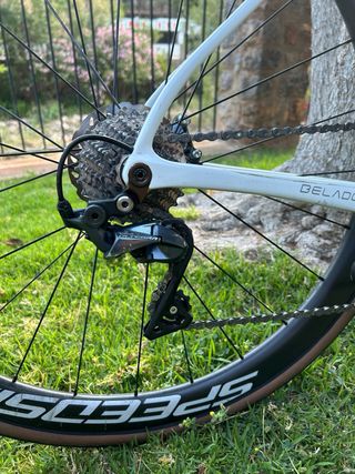 Berria belador 7 2023 T-L