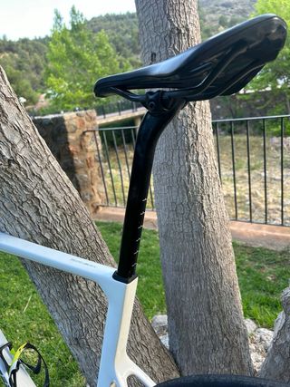 Berria belador 7 2023 T-L