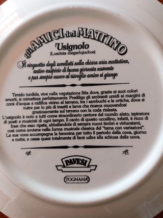 Piatto da collezione Tognana