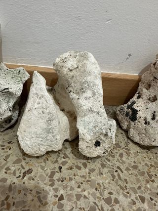 rocas  para acuario
