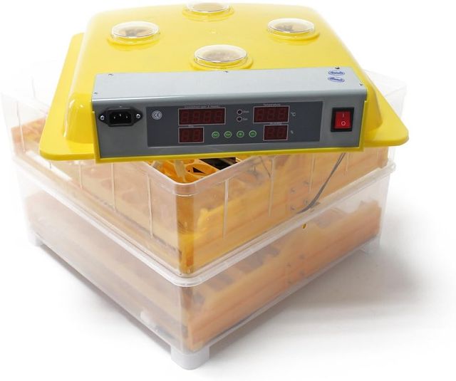  Incubadora 112 Huevos automática Incubación ⭐⭐⭐⭐