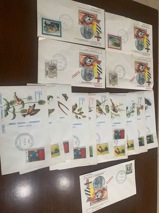 Buste da colezzione vuote