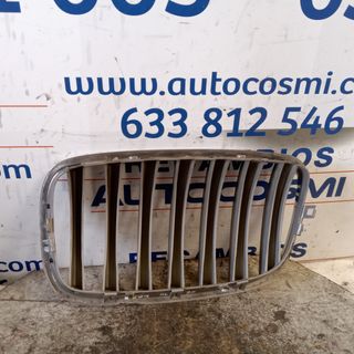 REJILLAS DELANTERAS BMW X6 AÑO 2010