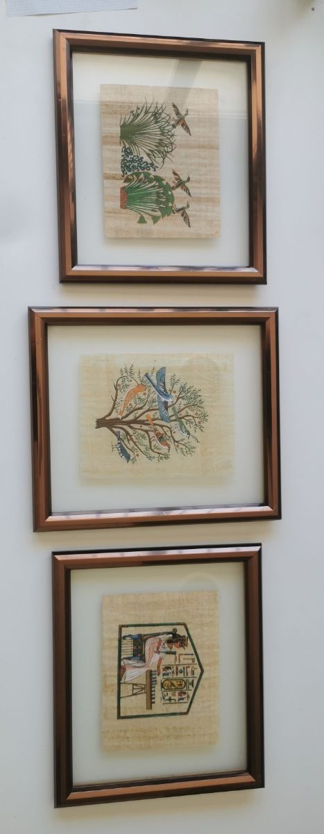 Cuadros de papiro enmarcados