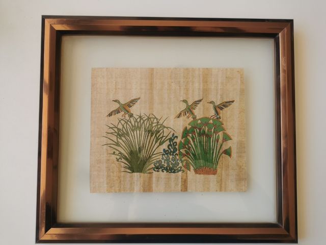 Cuadros de papiro enmarcados