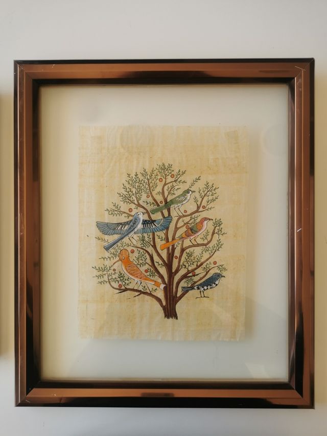 Cuadros de papiro enmarcados